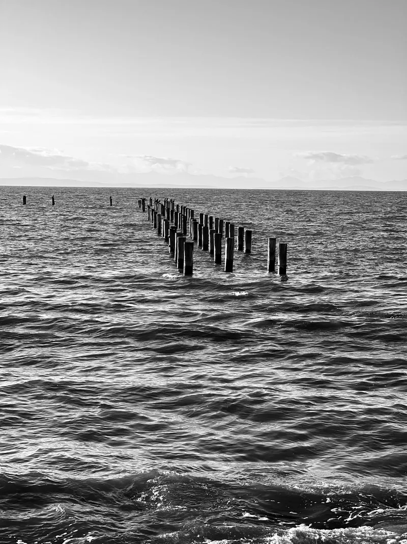 Point Roberts Water