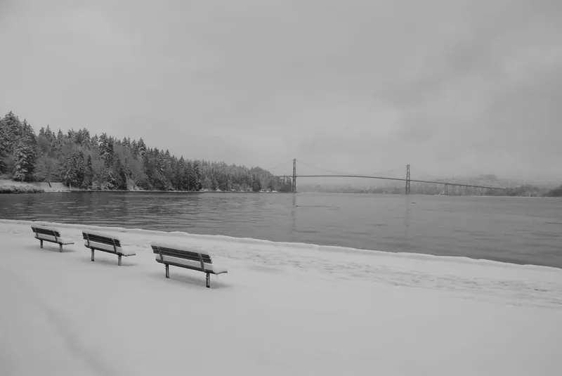 Stanley Park Winter